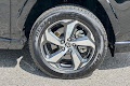 2024 Toyota RAV4 Prime SE