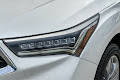2019 Acura RDX w/Advance Pkg