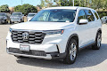 2023 Honda Pilot EX-L 8 Passenger